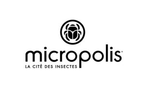 micropolis